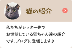 猫の紹介