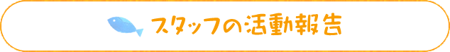 スタッフの活動報告